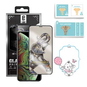 Защитная пленка для экрана Lanbi Privacy iPhone 11 Pro Max/XS Max