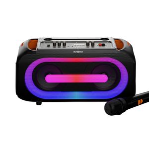 Динамик Euroacs EU-S905 микрофон 6,5"x2