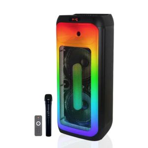 Динамик DR-1028 80Вт 10"x2 микрофон + пульт ДУ