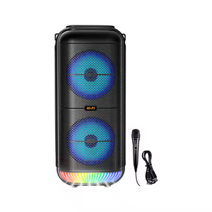 SESGUCLENDIRICI ZQS6227 6.5"x2 20W WIRED MIC