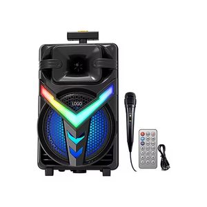 SESGUCLENDIRICI ZQS8158 8"x2 20W WIRED MIC+REM