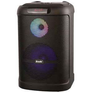 Динамик Brodu BTS-2101 30 Вт микрофон+пульт ДУ