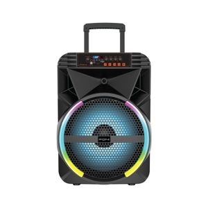 Динамик Foni FN-S1514 50 Вт 15" микрофон+пульт