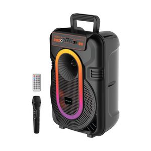 Səsgücləndirici Foni FN-S1011 30W 10" mikrofon+pult