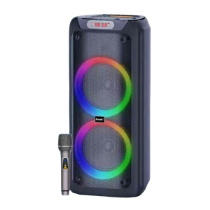 Speaker Brodu BTS-2175 60W 10"x2 Mic